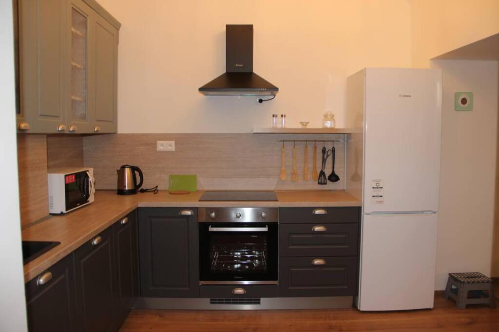Apartment"Na Hlavnej" 科希策 外观 照片