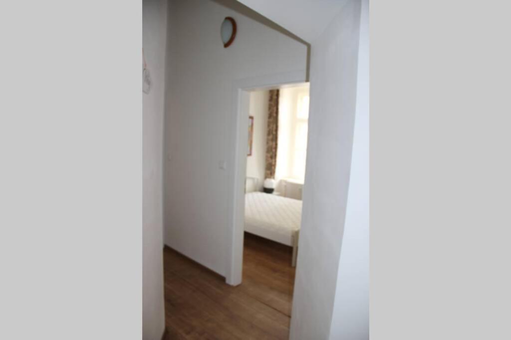 Apartment"Na Hlavnej" 科希策 外观 照片